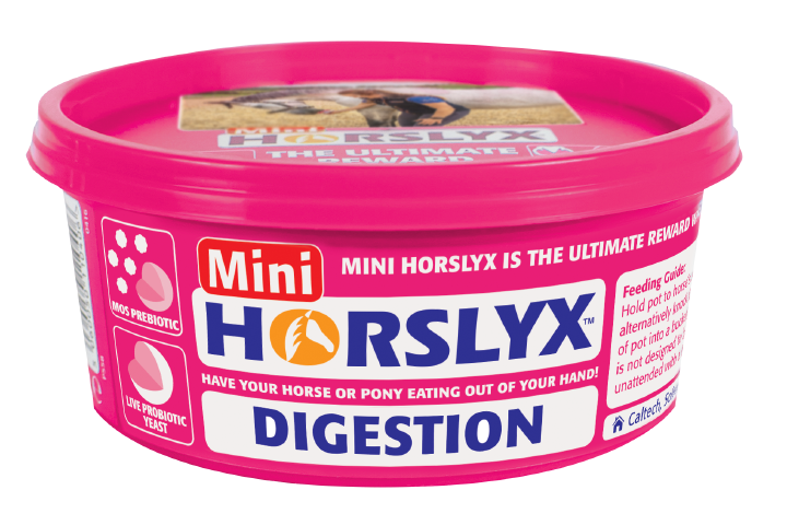 HORSLYX Digestion